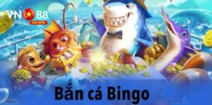 Định nghĩa về bắn cá Bingo